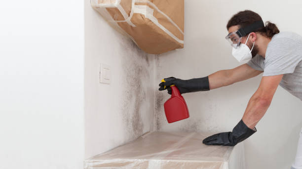 Professional Attic Mold Remediation technician working in Beaverton, MI